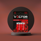 VECTOR ENERGIA | Pile Ultra Durata mezza torcia R14-C